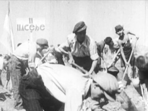 Нови Београд од мочваре и дине са птицама до модерног европског града 