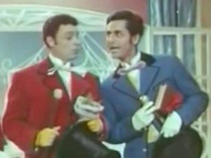 Избирачица