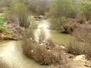 Јужна Морава опет је "тужна" – њоме плутају флаше, гуме и други отпад