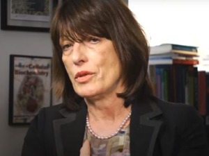 Орден професорки Вуњак Новаковић за заслуге и резултате   