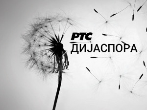 Медијска мрежа српске дијаспоре: Спона