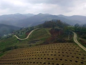 Миросаљце -  рудник хране под отвореним небом