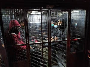 Стара Пазова, мигранти међу врећама декоративних каменчића са Тасоса