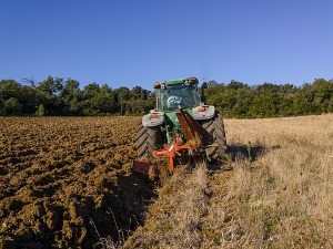 За развој задругарства бесповратно пола милијарде динара, ко ће имати приоритет
