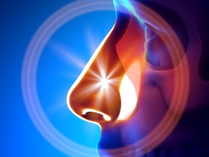 Ковид 19 и мирисне функције