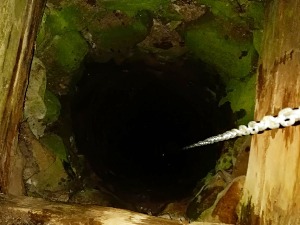 Старији мушкарац упао у бунар, држао се на ланцу за кофу, извукли га ватрогасци