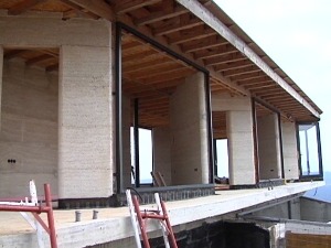 Хоће ли Србија правити куће од конопље и садити је свуда где треба очистити ваздух