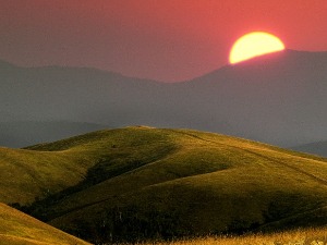 "Србија отворена канцеларија" – прилика да дигитални номади споје посао и одмор