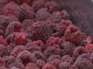 Шта ће малинарима донети извозни уговор са Великом Британијом 