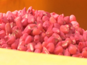 Киша успорила пролећну сетву