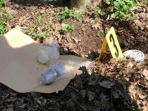 Заплењен кокаин у Сремској Митровици, ухапшене две особе