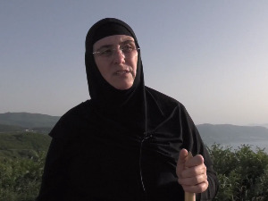 Медијска мрежа српске дијаспоре: Повратна карта