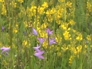 Излетишта спремна за првомајски уранак