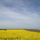 	Фолдер Србија: Основна школа Краљ Петар 1. 
