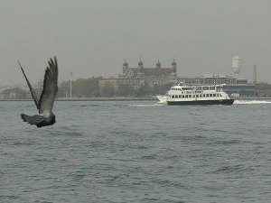 ТВ фељтон: Острво Елис