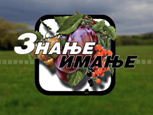 Знање имање