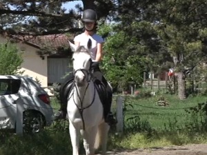 Како је коњ Вук постао непобедив у даљинском јахању