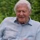 Дејвид Атенборо слави 95. рођендан - зашто је чувени природњак тако посебан Дејвид Атенборо слави 95. рођендан - зашто је чувени природњак тако посебан
