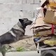 Најбољи пријатељ