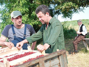 Мој рођак са села