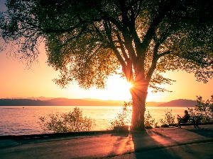 Србија постаје земља са приморском климом, Београд као Атина