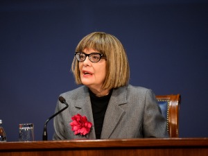 Гојковић: У финансирању поштовати ставове из Стратегије