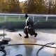 Плес по киши