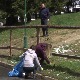 Велико пролећно чишћење - да Копаоник покаже раскошну лепоту пуним сјајем