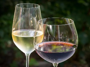 Српско винарство успешно напредује, златну медаљу добило више од 60 узорака