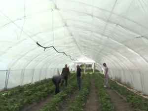 Војвода Степа – село из кога млади не одлазе