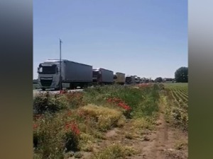 Километарска колона на граничном прелазу Шид