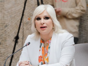 Михајловић: У случају Стефановића треба да реагују институције