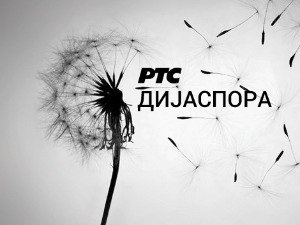  Медијска мрежа српске дијаспоре: Амерички сан