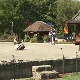 Пет деценија Ђачког Вуковог сабора у Тршићу - чување језика и писма темељ будућност