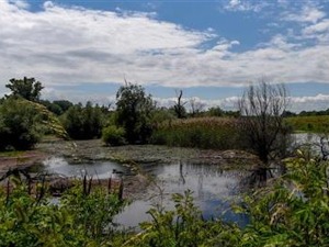 Весић: Зауставили смо одлагање отпада на бари Рева