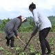 Село Горњане идеално место за дигиталне номаде