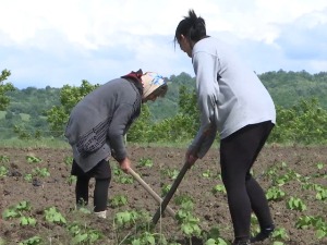 Село Горњане идеално место за дигиталне номаде