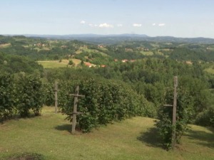 Осим невремена, од чега још страхују воћари скоро сваког лета
