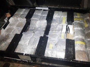 Заплењено више од 40 килограма марихуане на Батровцима