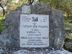 Срби и данас живе у Израелу