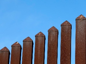 Нови живот Трампове тарабе