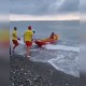 Нема им спаса