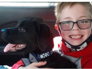 Осмогодишњак продао колекцију сличица да би  излечио пса