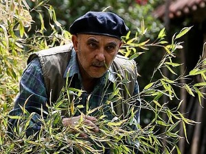 Пси лају, ветар носи