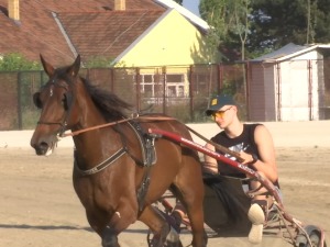 РТС дочекао Јокића на хиподрому у Сомбору