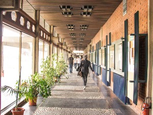 ФДУ: Спречени смо да реагујемо на случајеве сексуалног узнемиравања пре децембра 2019. године