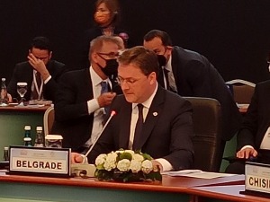 Брнабићева и Селаковић на самиту у Анталији