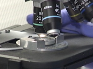 Београд финансира вантелесну оплодњу – нова нада за 100 парова