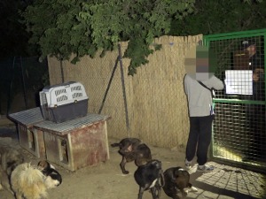 Ухапшен мушкарац у Крагујевцу, сумња се да је мучио и убијао псе у свом центру за обуку