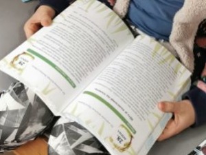 Mали песници великог талента